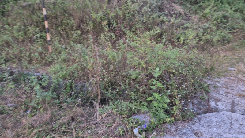  30 Dismil Residential Plot for Sale in 8th Mile, Kalimpong