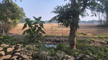 Agricultural Land for Sale in Nutan Para, Jalpaiguri