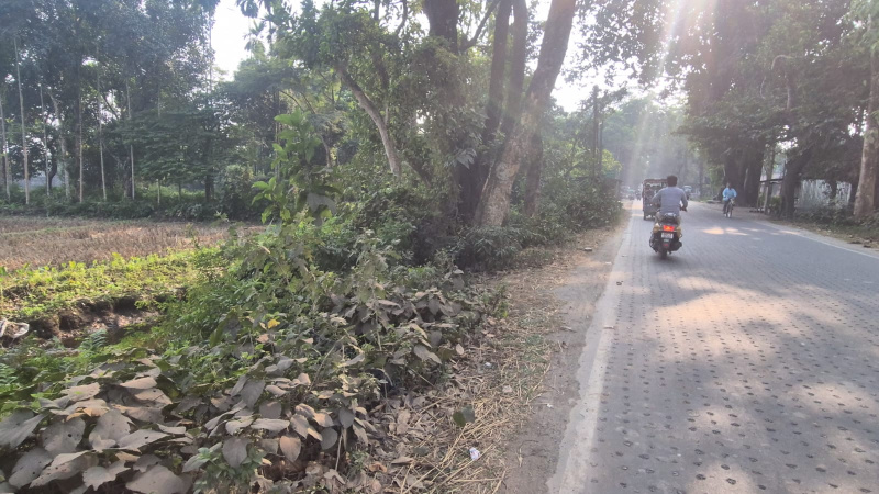  6 Bigha Agricultural/Farm Land for Sale in Nutan Para, Jalpaiguri