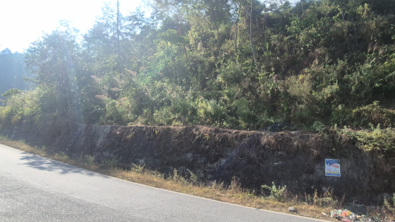  12 Bigha Residential Plot for Sale in Lava, Kalimpong