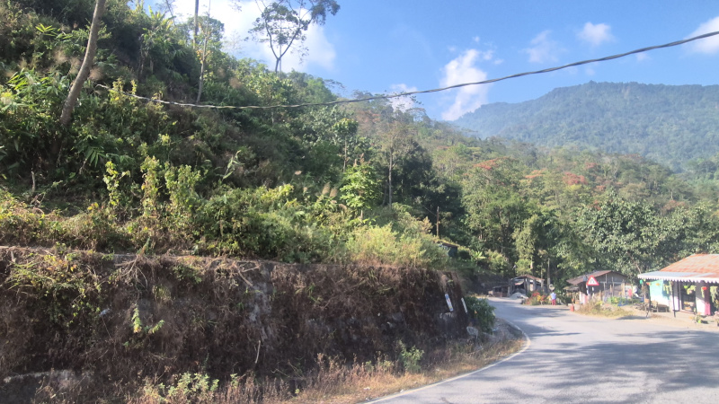 12 Bigha Residential Plot for Sale in Lava, Kalimpong