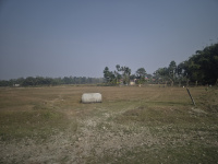  Residential Plot for Sale in Madhya Madarihat, Jalpaiguri