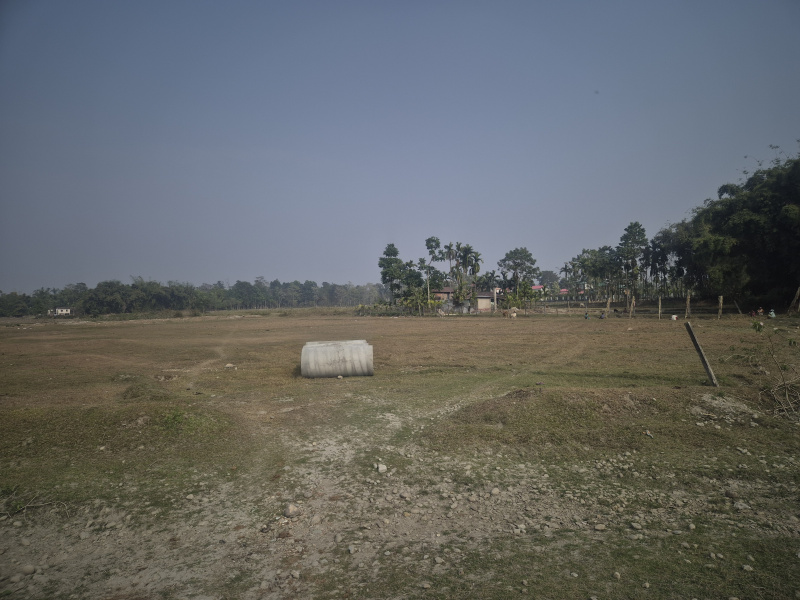  13 Bigha Residential Plot for Sale in Madhya Madarihat, Jalpaiguri