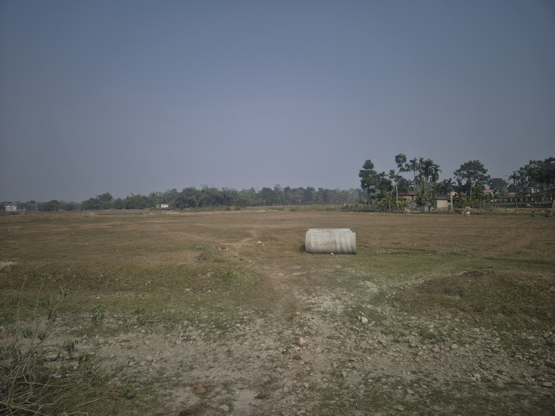  13 Bigha Residential Plot for Sale in Madhya Madarihat, Jalpaiguri