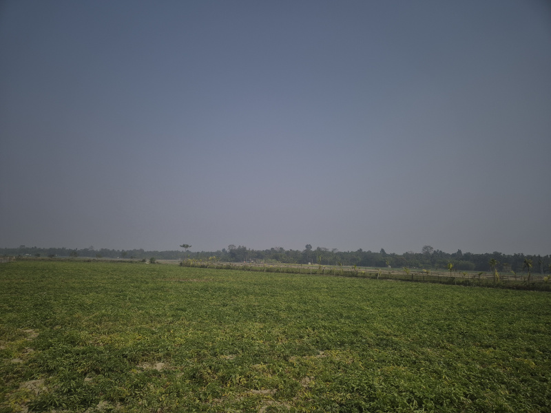  16 Bigha Residential Plot for Sale in Murti, Jalpaiguri