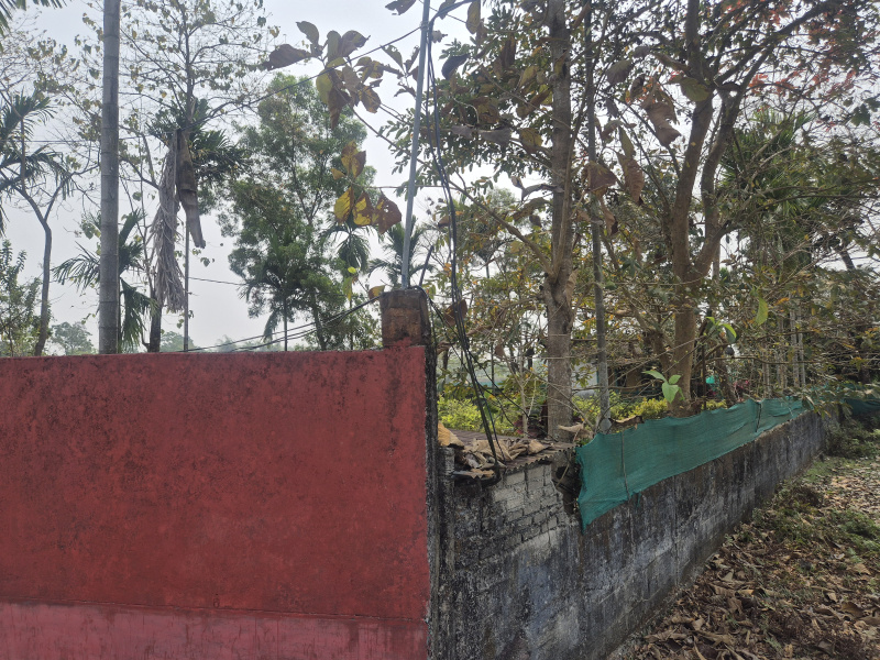  1 Bigha Guest House for Sale in Murti, Jalpaiguri