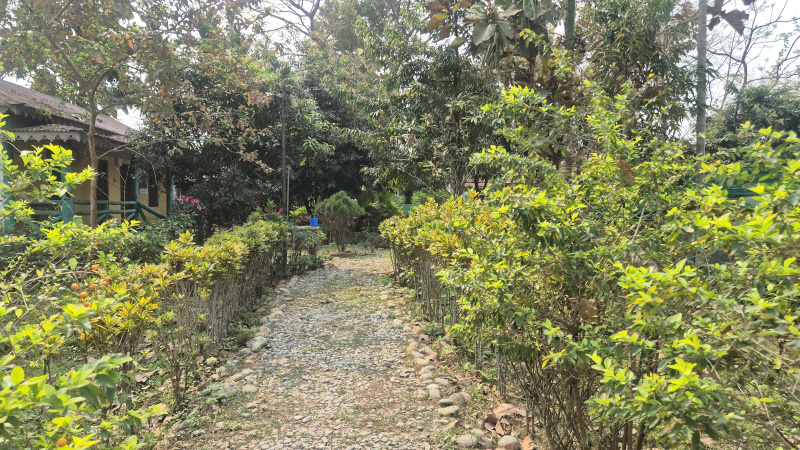  1 Bigha Guest House for Sale in Murti, Jalpaiguri