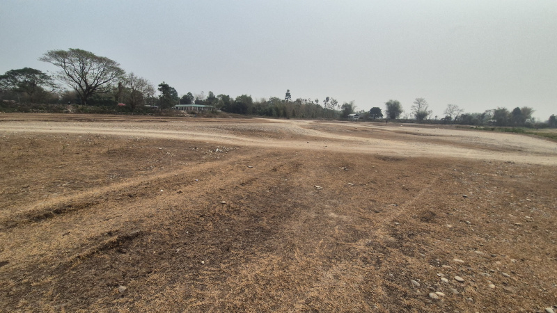  11 Bigha Residential Plot for Sale in Malbazar, Jalpaiguri