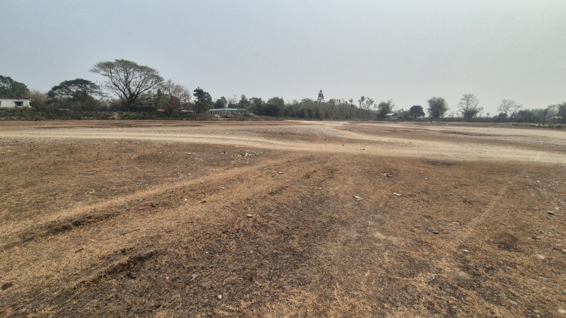  11 Bigha Residential Plot for Sale in Malbazar, Jalpaiguri