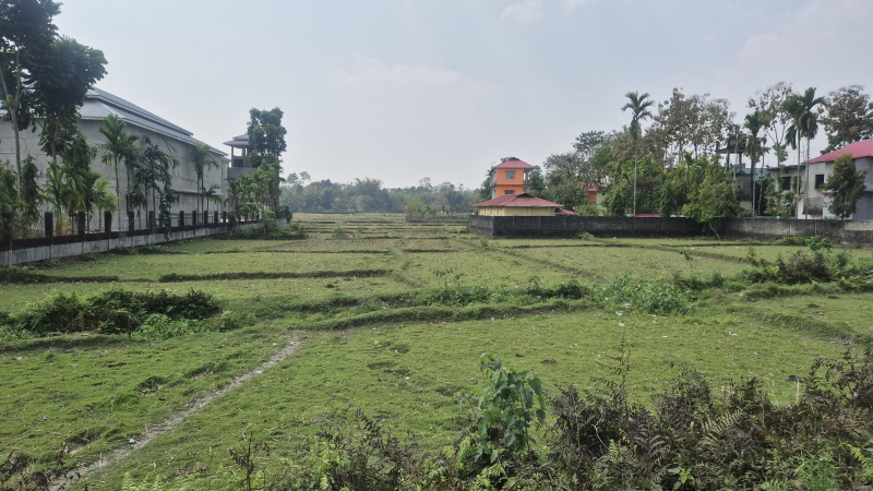  50 Dismil Agricultural/Farm Land for Sale in Murti, Jalpaiguri
