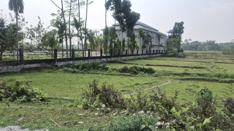  50 Dismil Agricultural/Farm Land for Sale in Murti, Jalpaiguri