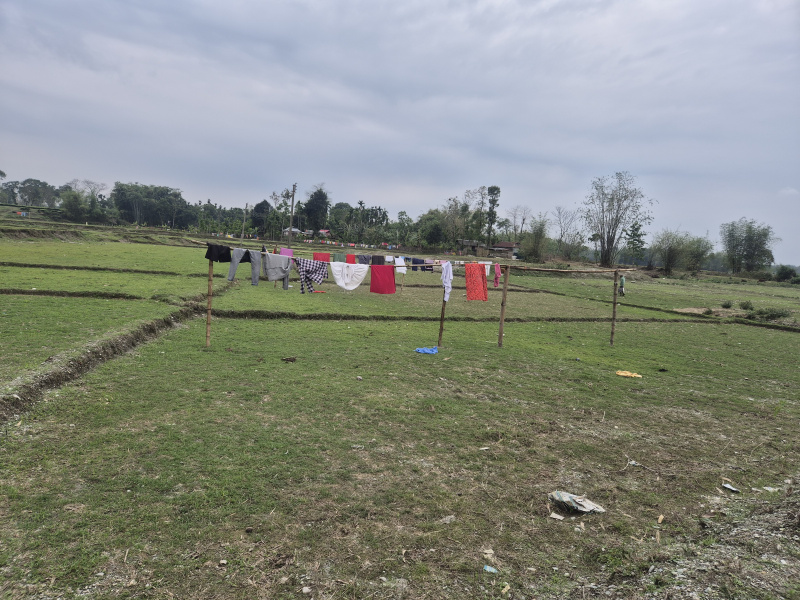  6 Bigha Residential Plot for Sale in Batabari, Jalpaiguri