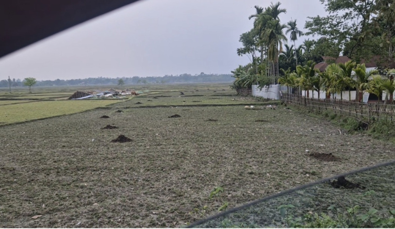  3 Bigha Residential Plot for Sale in Murti, Jalpaiguri