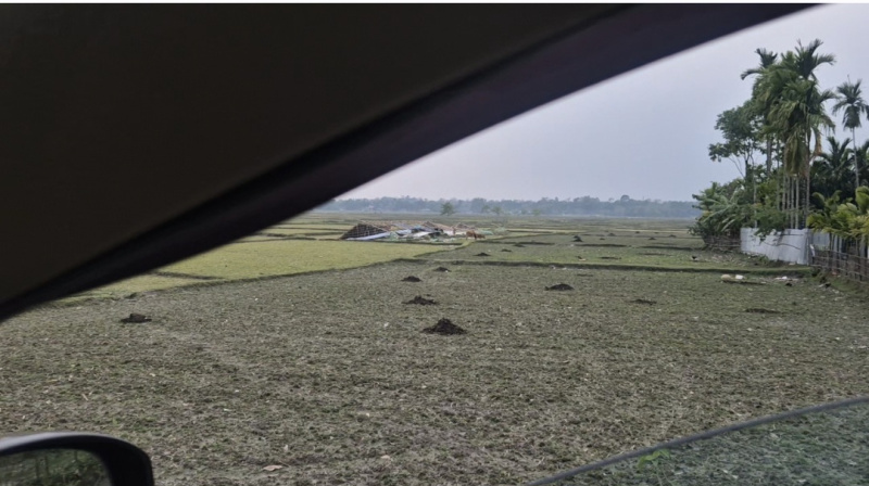  3 Bigha Residential Plot for Sale in Murti, Jalpaiguri