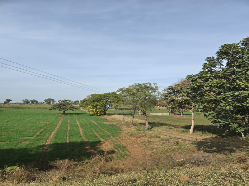  16 Bigha Agricultural/Farm Land for Sale in Bicholi Mardana, Indore