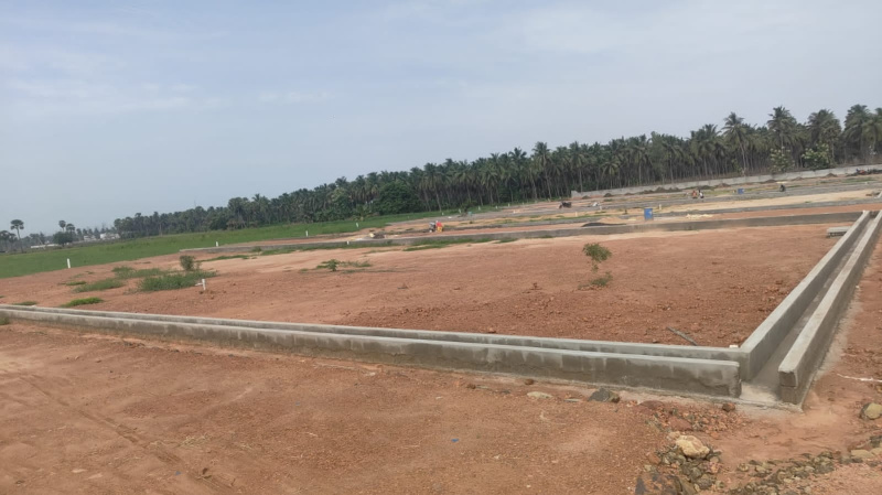  Residential Plot 150 Sq. Yards for Sale in Bommuru, Rajahmundry