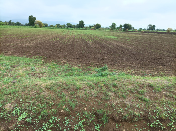  Agricultural Land for Sale in Barwaha, Khargone