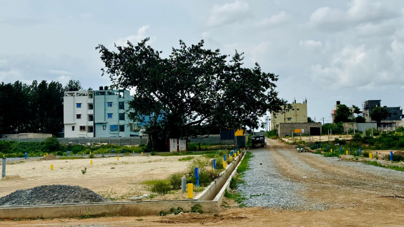  Residential Plot 600 Sq.ft. for Sale in CK Palya, Bangalore