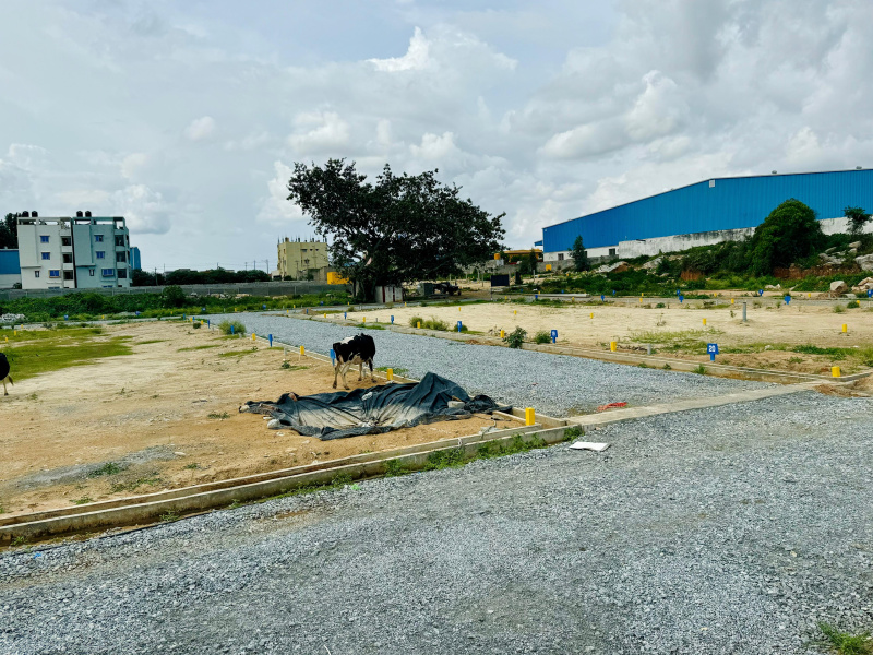  Residential Plot 600 Sq.ft. for Sale in CK Palya, Bangalore