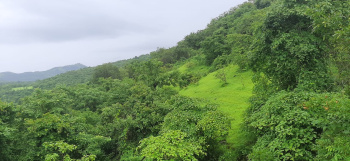  Agricultural Land for Sale in Mandangad, Ratnagiri