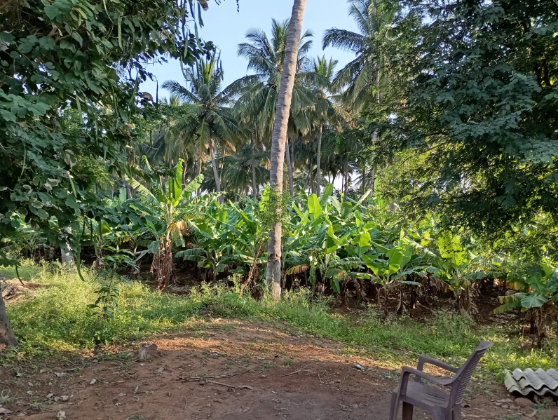  Agricultural Land 2 Acre for Sale in Chinniampalayam, Coimbatore