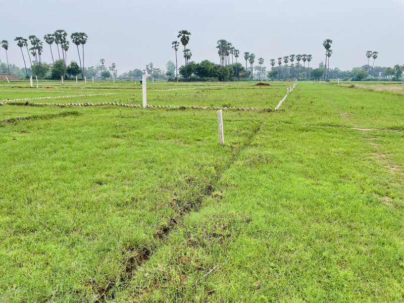 Residential Plot 2000 Sq.ft. for Sale in Bihta, Patna