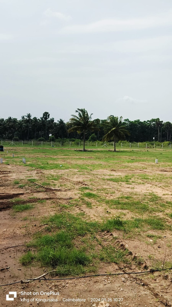  Residential Plot 1200 Sq.ft. for Sale in Pollachi, Coimbatore