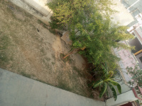  Residential Plot for Sale in Khiribagh, Mau (Maunath Bhanjan)