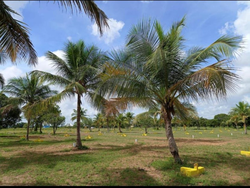  Residential Plot 2000 Sq.ft. for Sale in Vengathur, Thiruvallur