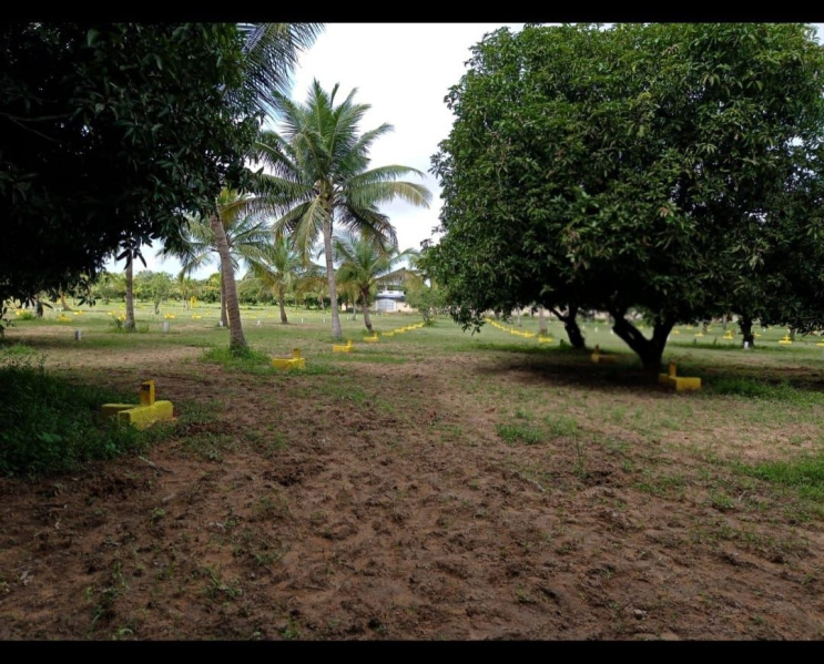  Residential Plot 1500 Sq.ft. for Sale in Ellapuram, Thiruvallur