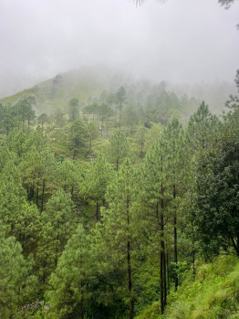  Residential Plot for Sale in Lansdowne, Pauri Garhwal