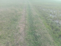  Agricultural Land for Sale in Marakkanam, Villupuram