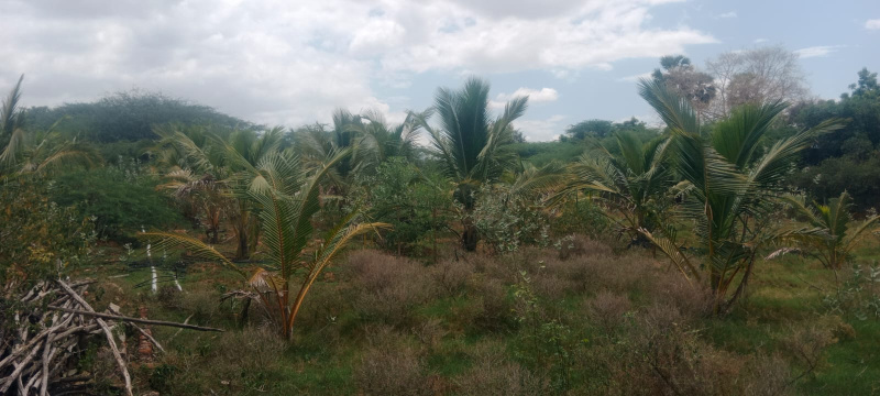  5 Acre Penthouse for Sale in Moolakaraipatti, Tirunelveli