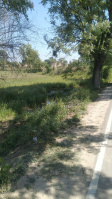  Agricultural Land for Sale in Haroli, Una