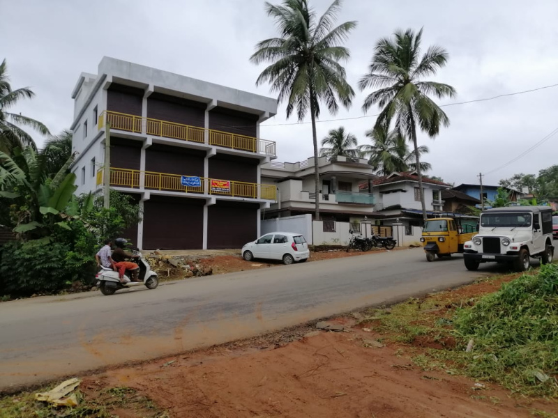 Cherpulassery, Palakkad photo 4
