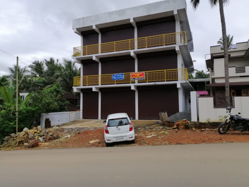 Cherpulassery, Palakkad photo 5