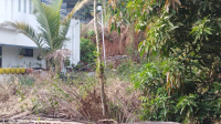 Residential Plot for Sale in Angadipuram, Malappuram