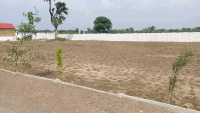  Agricultural Land for Sale in Dhamna, Nagpur
