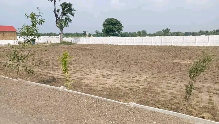  Agricultural Land 5000 Sq.ft. for Sale in Dhamna, Nagpur