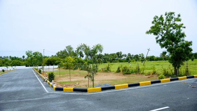  Residential Plot 1200 Sq.ft. for Sale in Maiyur, Chengalpattu