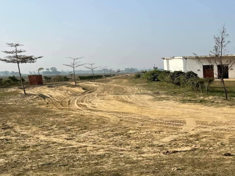 1000 Sq.ft. Residential Plot for Sale in Jangal Kauria, Gorakhpur