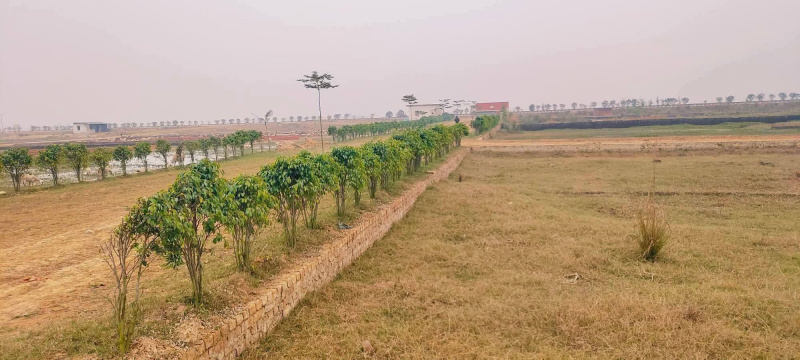  1000 Sq.ft. Residential Plot for Sale in Jangal Kauria, Gorakhpur