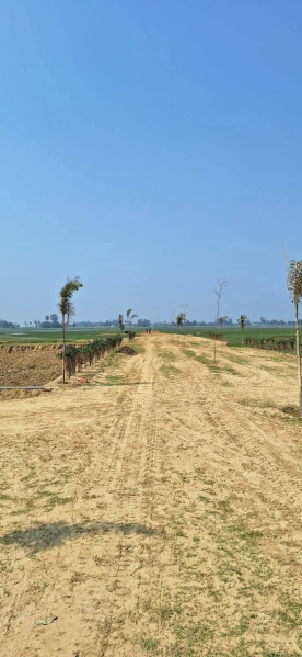  1000 Sq.ft. Residential Plot for Sale in Jangal Kauria, Gorakhpur