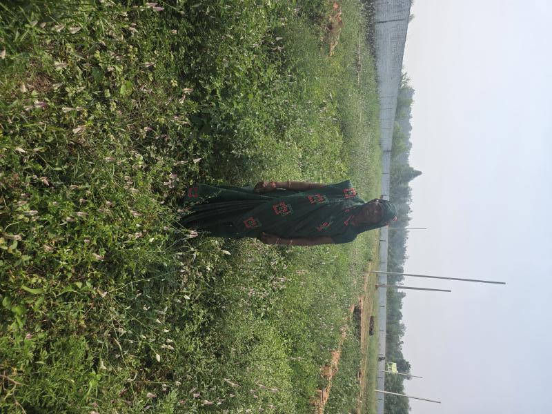  1111 Sq. Yards Commercial Land for Sale in Aonla, Bareilly