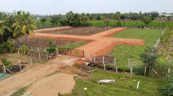  Residential Plot for Sale in Woraiyur, Tiruchirappalli