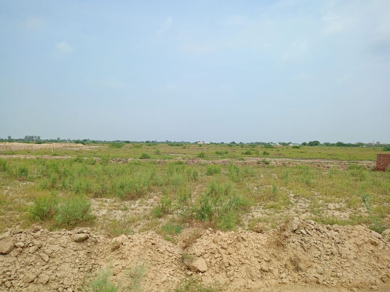  Residential Plot 900 Sq.ft. for Sale in Govardhan, Mathura