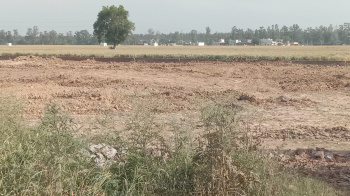  Industrial Land for Sale in Pipli, Kurukshetra