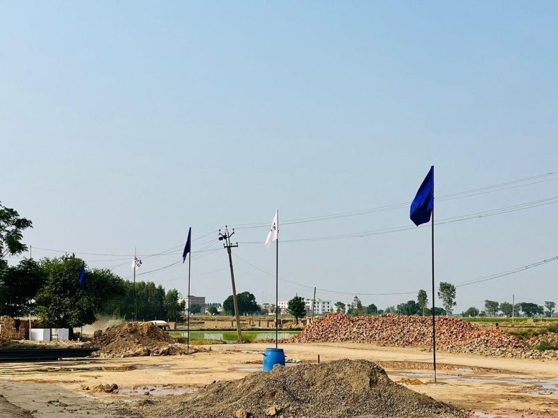 Banaur, Patiala photo 4