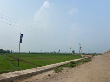  Industrial Land for Sale in Banur, Mohali