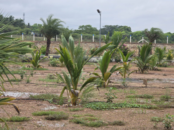  Agricultural Land for Sale in Devampalayam, Coimbatore